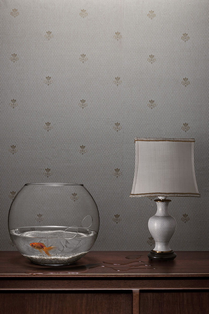 hoya_fisk_v2_ny
